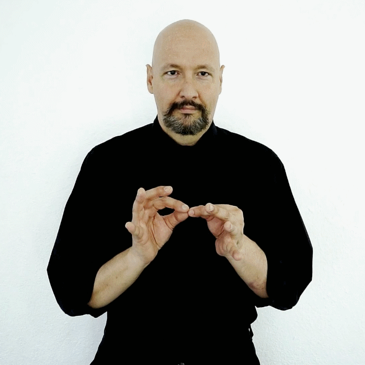 "interpreter" American Sign Language (ASL)