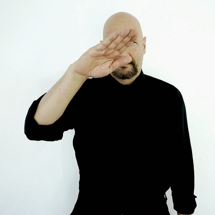  never American Sign Language ASL 