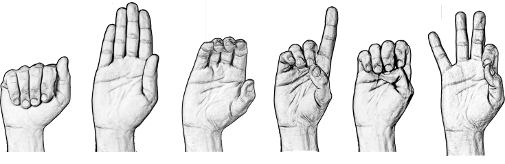 How do you read an alphabet chart for sign language?