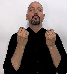 "many" ASL American Sign Language